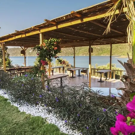 Unique Boutique For Chill/out Getaway Szálloda